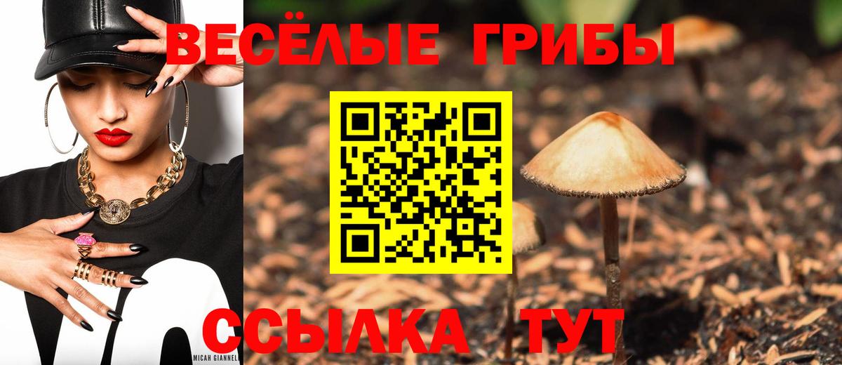 Псилоцибиновые грибы мухоморы  Вход с VPN  Обнинск 